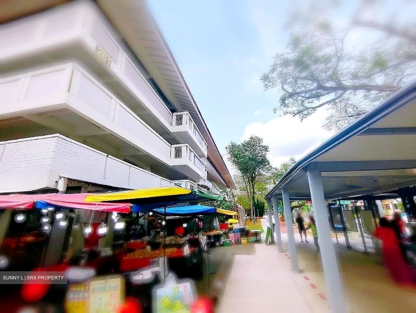 264 SERANGOON CENTRAL (D19), Shop House #626449521